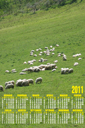 calendari