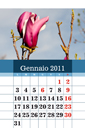 calendari