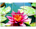 Mosaico Ceramica 20x30